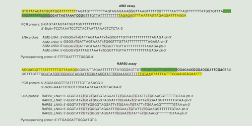 Figure 1.  Sequences of E-ice-COLD-PCR assays targeting AIM2 and RARB2.+ denotes an LNA building block. PCR primers are indicated in yellow, LNA probes are underlined, pyrosequencing primers are noted in green and the sequence analyzed using pyrosequencing is in bold and italic for each assay.