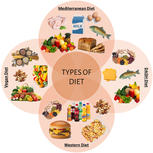 Figure 2. Different types of diet.