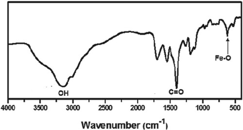 Figure 5. FTIR absorption spectrum of the prepared nanopowder.