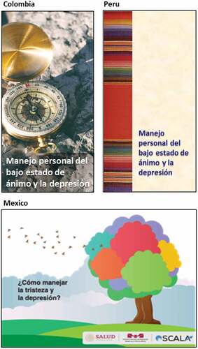 Figure 4. Style and presentation of patient information leaflets for depression.