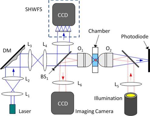 Figure 7 Schematic diagram of the prototype optical trapping system. The lens pairs (e.g., L1, L2) act to resize the beam diameter to fit the pupil of the DM, SHWFS, imaging camera, and back aperture of the trapping objective O1. (Figure is provided in color online.).