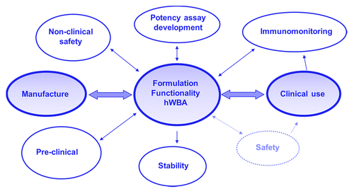 Figure 5. De-risking formulation development for clinical use. An approach that links several disciplines bridging vaccine manufacture to clinical use.