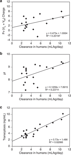 Figure 5. Relationships between test antibodies’ clearance in humans and their (a) Fv (VL + VH) charge, (b) pI, (c) transcytosis output. Data were fitted with a linear regressing model and both the equation and the R-squared value are presented. Fv charge was calculated at pH 5.5 and pI was measured by imaged capillary isoelectric focusing. Total number of antibodies tested = 20.