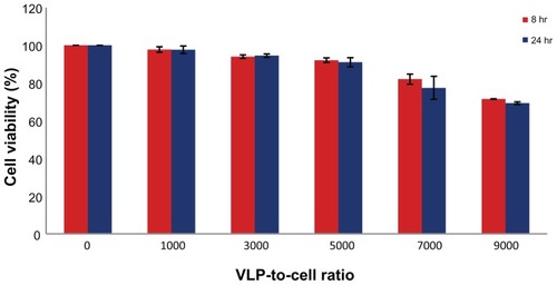 Figure 6 PEI-AAV2-VLPs Cytotoxicity evaluation MCF-7 cells were incubated with PEI-AAV2-VLPs at increased VLP-to-cell ratio for 8 and 24 hrs respectively. Cell viability was measured by MTS assay. Cell viability in untreated groups was assigned as 100% and its O.D from MTS assay was used to calculate cell viability in treatment groups. With treatment dosage of less than 7000:1 VLP-to-cell ratio, toxicity effects were minor (cell viability >90%) for both 8 hr and 24 hr incubations; at maximum dosage tested (VLP-to-cell ratio of 9000:1), cell viability was around 70%.