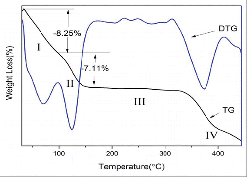 Figure 4. Thermal gravimetric (TG) and derivative thermogravimetric (DTG) curves of the nano-calcium citrate.
