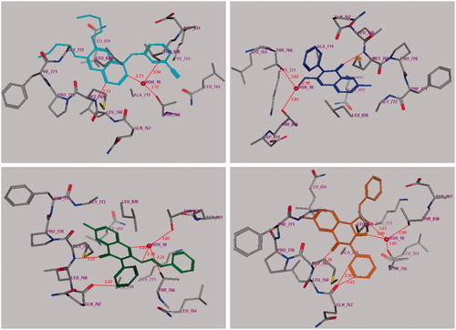 Figure 4. Docking of compounds 5 (upper right panel), 12 (lower left panel) and 13 (lower right panel) into the active site of epidermal growth factor receptor. Upper left panel showed the erlotinib inhibitor/EGFR complex. Hydrogen bonds are shown in red.