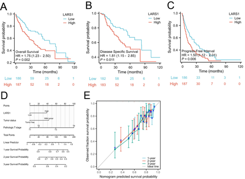 Figure 3 The expression level and survival analysis of LARS1 in HCC. (A) Overall Survival (OS). (B) Disease Specific Survival (DSS). (C) Progress Free interval (PFI). (D) Nomogram for predicting the 1-,3-, and 5-year overall survival rates. (E) The calibration curve of the nomogram.