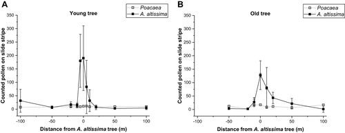 Figure 4 Local pollen counts for grass (Poaceae) and Alternaria altissima pollen near a young (A) and an old (B) solitary tree collected for one week (two/ three consecutive weeks) on a Vaseline-covered object slide (Supplemental Figure 2B and 2C).
