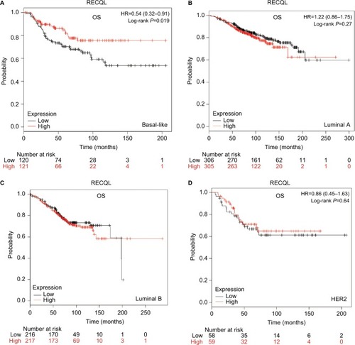 Figure 6 OS curves of RECQL with different intrinsic breast cancer subtypes identified for patients in the database (Affymetrix ID for RECQL: 212918_at).Notes: (A) Basal-like; (B) luminal A; (C) luminal B; (D) HER2.Abbreviation: OS, overall survival.