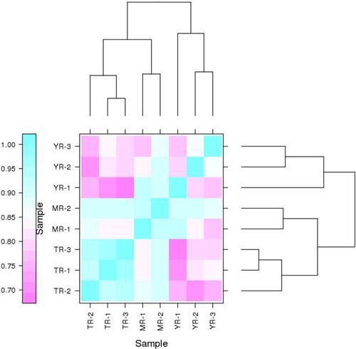 Figure 3 Hierarchical cluster analysis of all expressed transcripts (n=119,502) in 8 libraries.