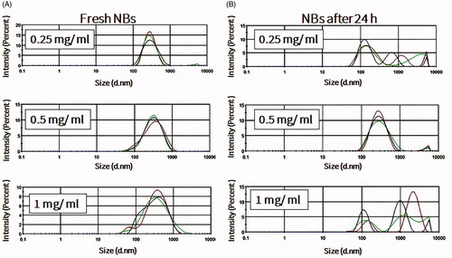 Figure 2. The effects of lipid concentrations on nanobubble (NB) size, distribution and stability at room temperature. (A) Size of freshly prepared NBs (n = 3). (B) NBs after storage for 24 h at room temperature (n =3).