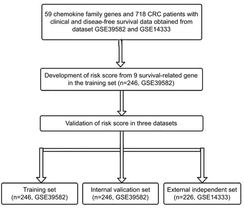 Figure 1 Study flow for the development and validation of the nine-chemokine classifier.Abbreviation: CRC, colorectal cancer.