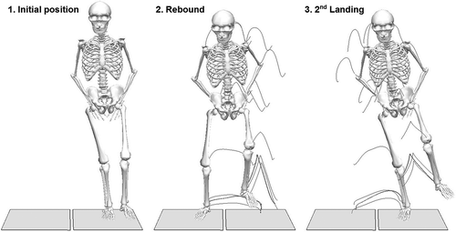 Figure 2. Illustration of the novel one-leg standardised rebound side hop (SRSH). The task was performed by: (1) standing upright on one leg on a force plate before hopping laterally with respect to the standing leg over a distance normalised to 25% of body height marked by tape, and landing on another force plate for (2), a rebound back to the starting point (3), 2nd Landing, and ‘stick’ the landing