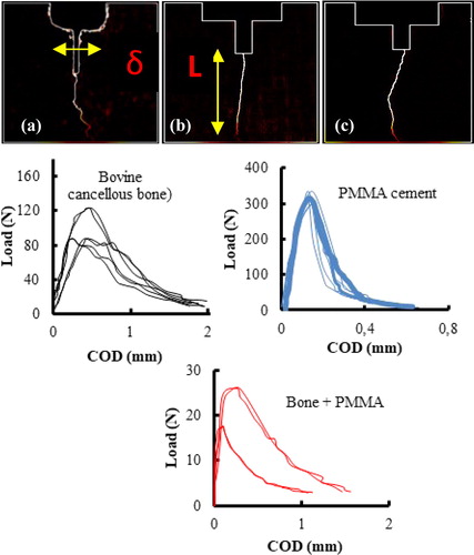 Figure 2. Top: Von mises equivalent strain maps with crack propagation for (a) cancellous bone, (b) PMMA cement, (c) PMMA-bone samples obtained using the H-DIC. Bottom: Load-COD curves obtained for the three groups of samples.