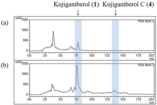 Figure 1. HPLC profiles of silica gel column chromatography Fr. 7 with (a) or without (b) EtOAc extraction. Column: Capcell Pak C18 (4.6 × 150 mm, 5 µm, UG120A), Solvent: 85% MeOH, Flow rate: 1 mL/min, Detector: PDA (205 nm), Injection: 50 µg.