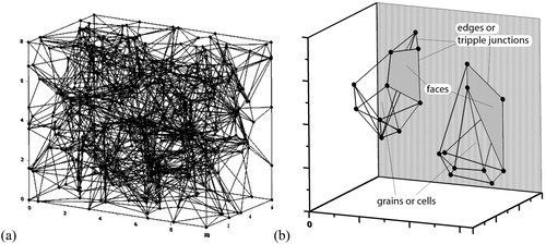 Figure 3. A discrete complex with 100 grains (a) and a couple of Voronoi cells (b) with their elements.