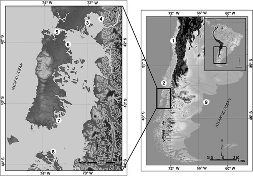 Figure 1. Map of the Chilean and Argentinean coasts showing the sampling locations of animals used in this study. 1, Coquimbo; 2, Corral; 3, Chinquihue; 4, Metri; 5, Quempillén; 6, Aucho; 7, Yaldad; 8, Melinka; 9, Puerto Madryn. Ancon and Santa María locations from Perú are not shown, as such sequences were obtained from GenBank.