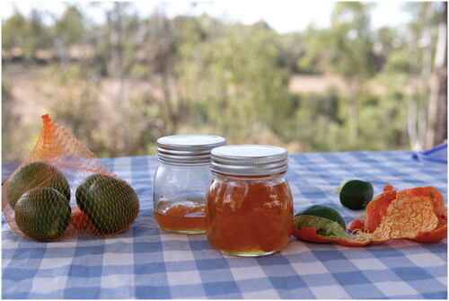 FIGURE 15 “Last of the citrus season jam/Zonhoven Rest Area near Gayndah.”