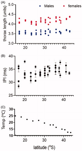 Figure 1. Mean IPI and thorax length (as graticule units) in Australian populations collected from the East coast. Bars indicate ± SEMs. (A) Male (blue) and female (red) thorax lengths. (B) IPI of males. (C) Annual mean temperature from weather station closest to collection sites (see Methods).