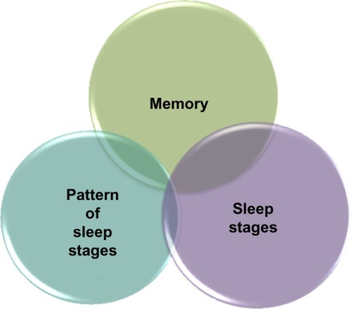 Figure 1 The interaction of sleep and memory.