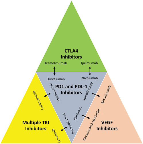 Figure 4. Combination of immunotherapies in HCC.