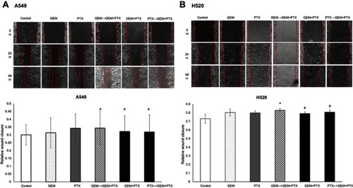 Figure 6 Wound healing assay. (A) Relative wound closure of A549 cell line in all group combination drugs were similar and showed no significant results. (B) However, scratch assay showed the most significant deceleration of cell migration was in drug combination GEM→GEM+PTX-treated H520 cell. *P<0.05 compared with control; #not significant.