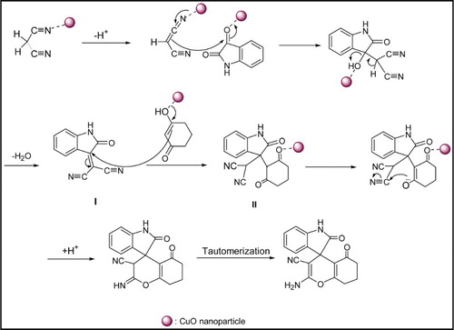 Scheme 2. A schematically mechanism for the synthesis of spirooxindole derivatives using CuO NPs.