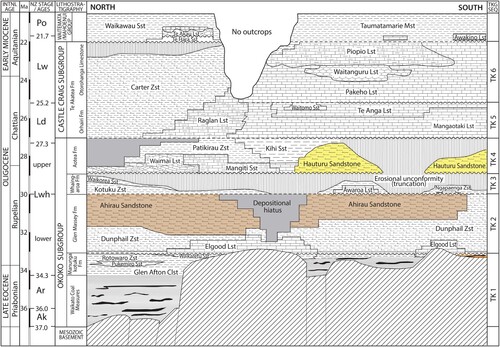 Figure. 5. Chronostratigraphic chart for the Te Kuiti Group in northern King Country Basin between Awakino Gorge in the south and Port Waikato in the north (from Kamp et al. Citation2014). Highlighted are the Ahirau Sandstone Member and the Hauturu Sandstone Member, both sampled for zircon U–Pb geochronology in this study.