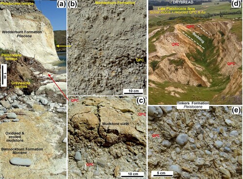 Figure 4. Recycled St Bathans paleovalley QPCs in the Manuherikia basin. A, General view of the unconformity between Miocene Bannockburn Formation (bottom) and Pliocene Wedderburn Formation QPC and quartz sandstone (white, centre), at the base of a Pliocene fan, Manuherikia River (Figure 1C). Pleistocene terrace gravels consist of greywacke cobbles. B, Outcrop of Wedderburn Formation with rounded quartz pebbles in QPC. C, Basal QPC in Wedderburn Formation with clasts of oxidised mudstone. D, General view (3 km, looking south) of historic mine gold exposures of Pleistocene Tinkers Formation at Drybread (Figure 2A), with QPC beds (white) recycled from uplifted St Bathans paleovalley (Craw et al. Citation2013). These QPCs were further recycled into Late Pleistocene fans in distance. E, Outcrop of recycled rounded quartz pebbles in Tinkers Formation, with some angular quartz and schist debris.