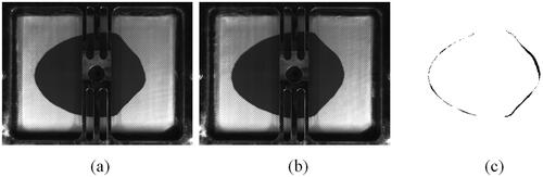 Figure 8. Filling after 120 s for two different experiments with the same process, permeability and fluid parameters is shown in subplots (a) and (b). The difference in the filling is shown in (c).