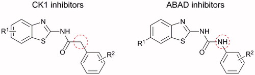 Figure 2. Structural similarity of CK1 and ABAD inhibitors.