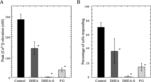 Figure 3 Effects of DHEA, DHEA-S, and pregnenolone on [Ca2+]i increase induced by AβP. A. After a 20-min incubation period at 37 °C in 25 μM DHEA-S, DHEA, and pregnenolone (PG), the average increase in [Ca2+]i induced by 20 μM AβP[25–35] was determined. As a control, the same DMSO concentration (0.5%) was added to the cultured neurons by the same protocol. Data are expressed as mean ± SEM, n = 200, ** p < 0.001. B. Percentage of cells responding to AβP under same conditions as those in (A). Data are expressed as mean ± SEM, n = 5.