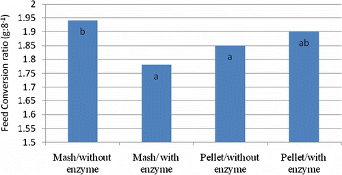 Figure 1.  The interaction between feed processing (mash vs. pelleted) and enzyme supplementation (with or without 0.30 g Grindazym GP 15,000/kg of wheat in complete diet) on FCR (g/g) during 20–36 days of age.