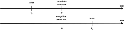 Figure 5. Timeline showing the time of morphine intake (t = 0) and the time of virus exposure (t=tp). When the recipient is exposed to virus before morphine intake (top, tp<0) and after morphine intake (bottom, tp>0).