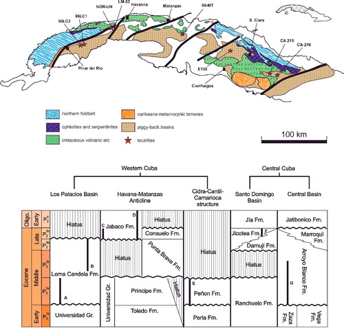 Figure 1. A, schematic tectonic map of western and central Cuba (after Iturrlade-Vinent Citation1994), with locations of the stratigraphical sections and samples. B, stratigraphical relations of Eocene units in western and central Cuba, slightly modified from García-Delgado & Torres-Silva (Citation1997); stratigraphical ranges of the studied sections: A, 98LC-2; B, 98LC-1; C, LM-52; D, NOR-UN; E, 98MT-1; F, E-126; G, CA-215.