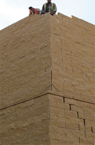 Figure 1. MSE wall cracks in uptown Cairo, 2017.