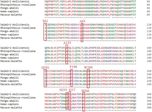 Figure 6. Conserved sequence alignment of the RPIAA protein showing the conservation of the reported substituted amino acids.