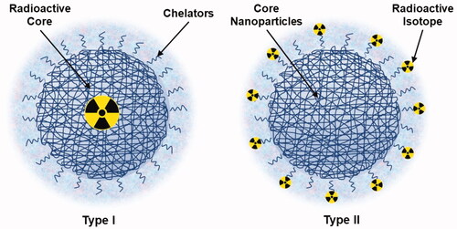 Figure 2. Schematic of radioactive polymer nanoparticles (NPs). In the Type I configuration, the radioactive elements are incorporated into a nano-sized cluster, whereas in the Type II configuration, the radioactive elements are decorated onto the NP surface.