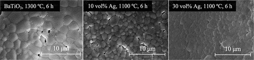 Figure 7. SEM images of the BaTiO3/Ag nanocomposite with different amount of Ag and BaTiO3.