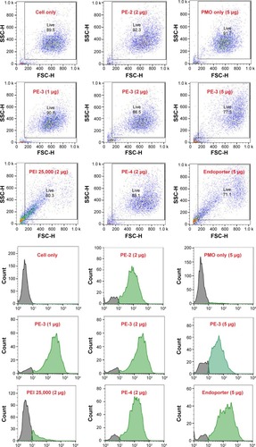 Figure 4 Flow cytometry diagram. The upper panel shows the flow cytometry dot plots (FSC-SSC) and the lower panel shows the histograms (FL).Abbreviations: PE, polyelectrolyte; PEI, polyethylenimine; PMO, phosphorodiamidate morpholino oligomer; FSC, forward scatter; SSC, side scatter; FL, flourescence.