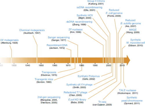 Figure 1. A historical timeline of selected advances leading to genome-scale engineering [Citation4].