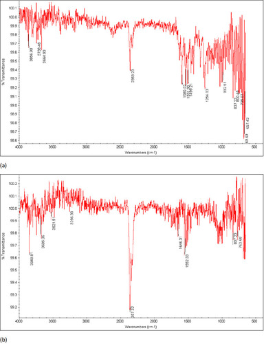 Figure 7 Fourier transform spectroscopy of (a) metoclopramide HCl (b) an optimized formulation.