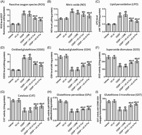 Figure 3. VC-IV modulated CDDP-induced alterations of renal redox status in mice. VC-IV reduced (a) ROS level, (b) NO level, (c) LPO level, (d) GSSG level and enhanced (e) GSH level, (f) SOD activity, (g) CAT activity, (h) GPx activity, (i) GST activity in the kidneys of mice. Data were represented as mean ± S.D. asignificantly (P < 0.05) different from vehicle-treated group, bsignificantly (P < 0.05) different from VC-IV-treated group, csignificantly (P < 0.05) different from CDDP-treated group, dsignificantly (P < 0.05) different from CDDP + LCME-treated group, and esignificantly (P < 0.05) different from CDDP + VC-IV concomitant-treatment group.