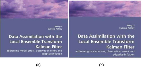 FIGURE 6 Effects of data-adaptive transforms: (a) original image (b) filtered image.