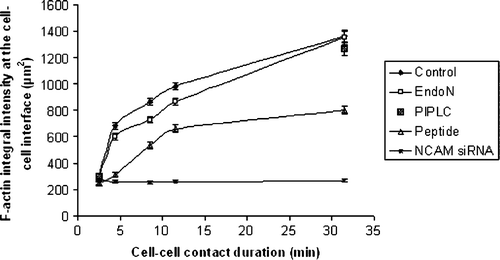 Figure 5.  Measurements of the integral intensity of AlexaFluor 488-Phalloidin staining at the cell-cell interface of 20 randomly selected pairs of cells (n=20) pre-subjected to different treatments. Measurements were performed in aggregates of cells being in contact in the trap for 1, 3, 7, 10 and 30 min. Error bars represent one standard error of the mean.