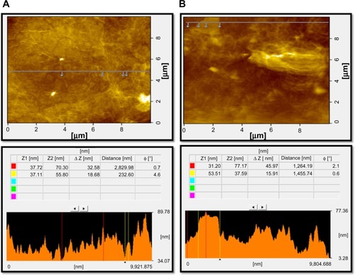 Figure 8 Surface and thickness analysis of GO (A) and GE-rGO (B) by atomic force microscopy.Abbreviations: GE, Ganoderma extract; GO, graphene oxide; GE-rGO, GE-reduced GO.