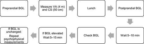 Figure 1 Flow chart demonstrating data collection process for psychophysical measurements.