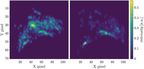 Figure 8. Example of the computed normalized kernel density image (left: radar data, right: point cloud data), estimated from the subsampled points (as depicted in Figure 7) for the kernel correlation registration.