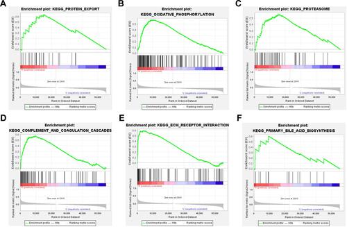 Figure 6 Enrichment plots from GSEA analysis on GNG11 in ovarian cancer. (A) Protein export. (B) Oxidative phosphorylation. (C) Proteasome. (D) Complement and coagulation cascades. (E) ECM receptor interaction. (F) Primary bile acid biosynthesis.