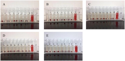 Figure 5. Profiles of the rate of hemolysis across treatments. (A) Blank liposome; (B) CTD-lip; (C) SA-Gal-CTD-lip; (D) 11-DGA-Suc-CTD-lip; (E) (11-DGA-Suc + SA-Gal)-CTD-lip. Nos. 1–7: Test tubes, the added amount of test product (cantharidin concentration is 0.6 mg/mL) is 0.1, 0.2, 0.3, 0.4, 0.5, 0.6, and 0.7 mL; No. 8: Negative control tube without liposomes; No.9: Positive control tube without liposomes and normal saline; No. 10: Test substance control tube without red blood cell suspension.